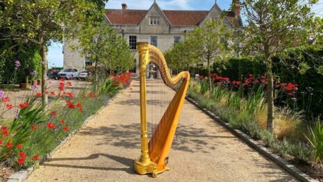 Hayley Wild Harpist at Froyle Park