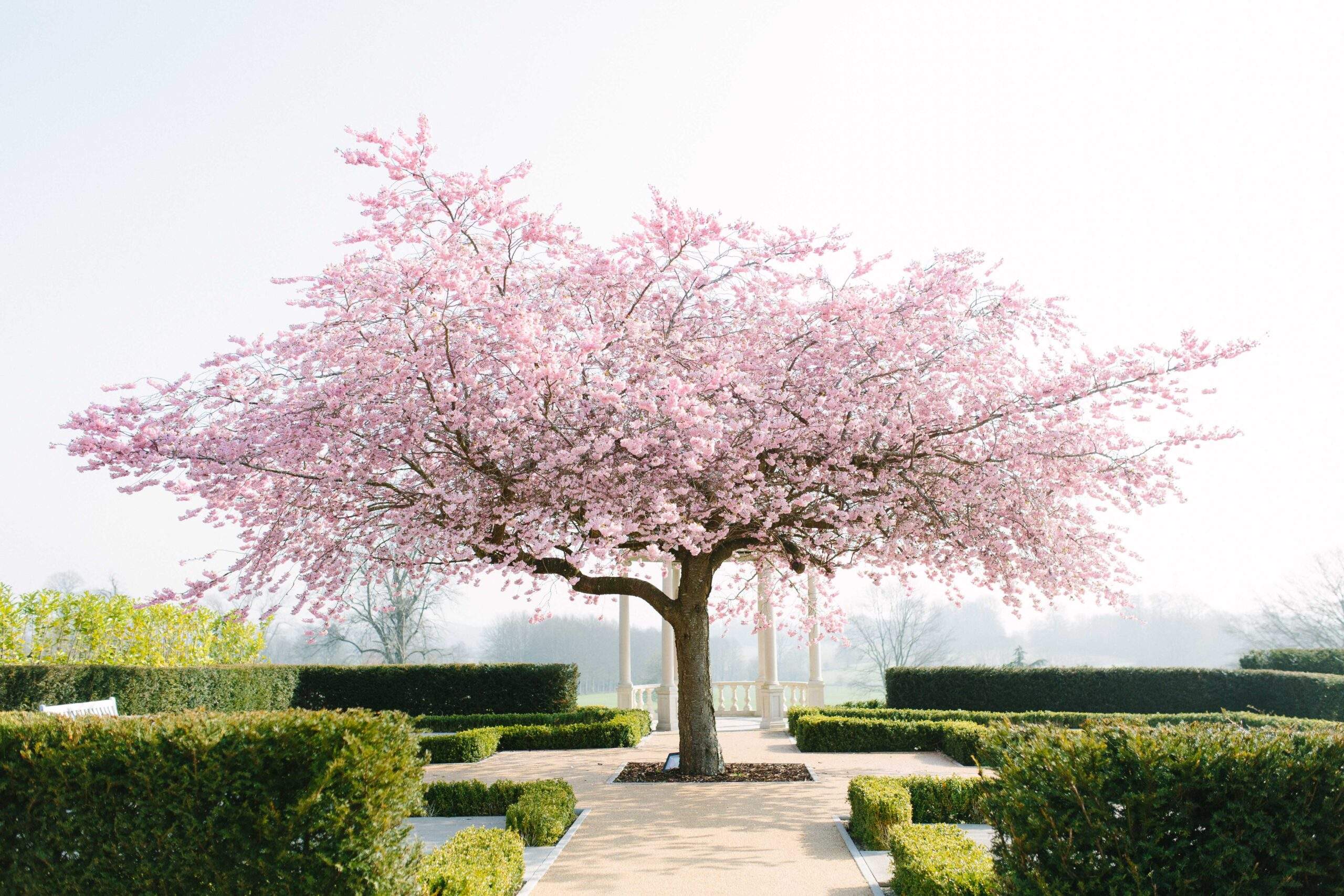 Situated in several acres of Surrey / Hampshire parkland, Froyle Park has the perfect grounds for your wedding photos and fairytale offers outdoors civil ceremonies.