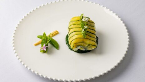 Peapod 2